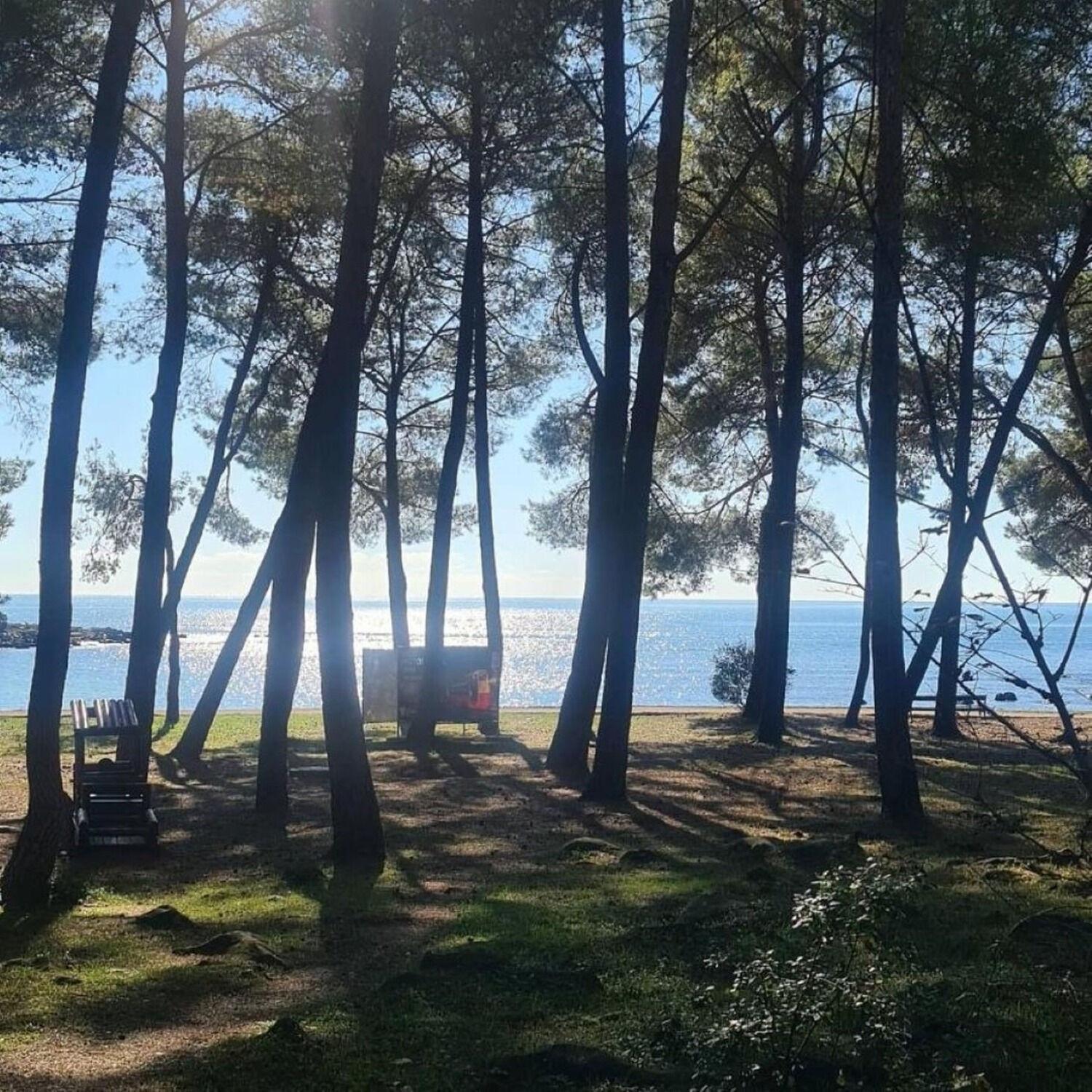 Apartments Berto - 500M To The Beach Rovinj Dış mekan fotoğraf