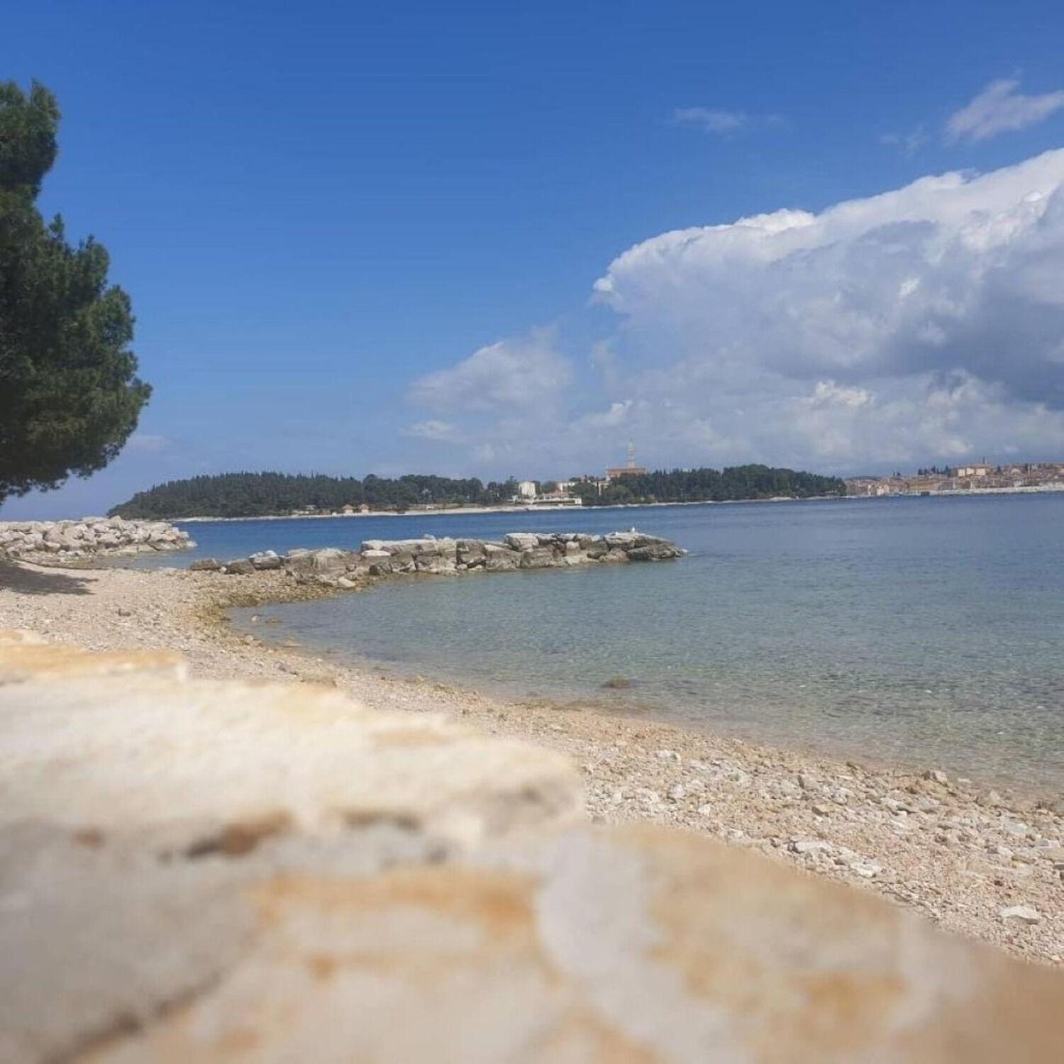 Apartments Berto - 500M To The Beach Rovinj Dış mekan fotoğraf